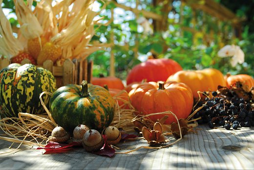 © Sonja Birkelbach - fotolia.com