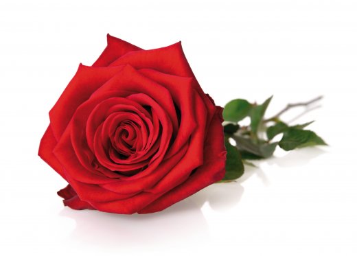 © Smileus-fotolia.com