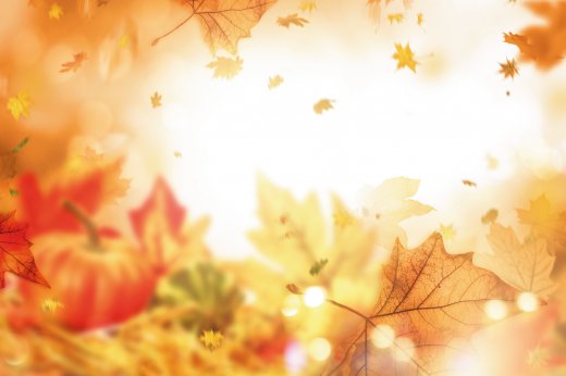 © drubig-photo-fotolia.com