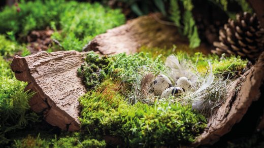 © shaiith-fotolia.com