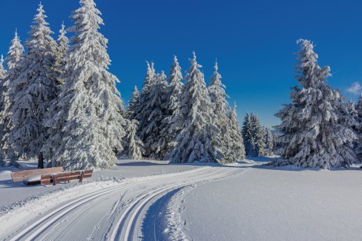 © Oliver Hlavaty - stock.adobe.com