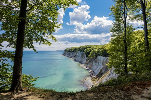 © Rico Ködder - stock.adobe.com