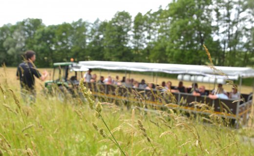 &copy; Weingut Mößlein