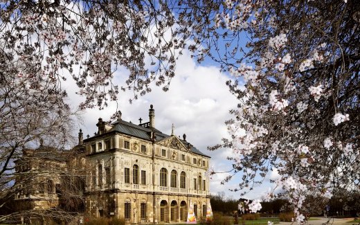 &copy; Sachsen Incoming