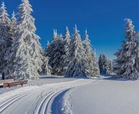 Winterzauber im Thüringer Wald © Oliver Hlavaty - stock.adobe.com