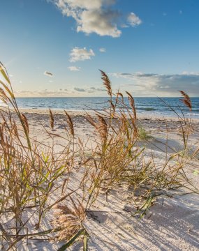 Ostseeküste &copy; Klaus Haase  - stock.adobe.com